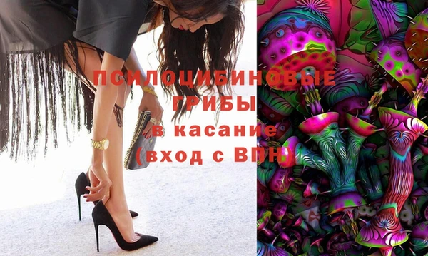 амф Белокуриха
