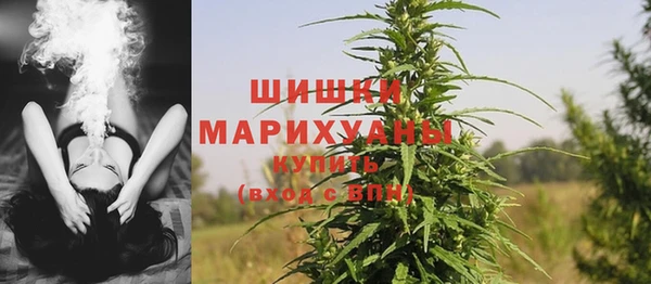 амф Белокуриха